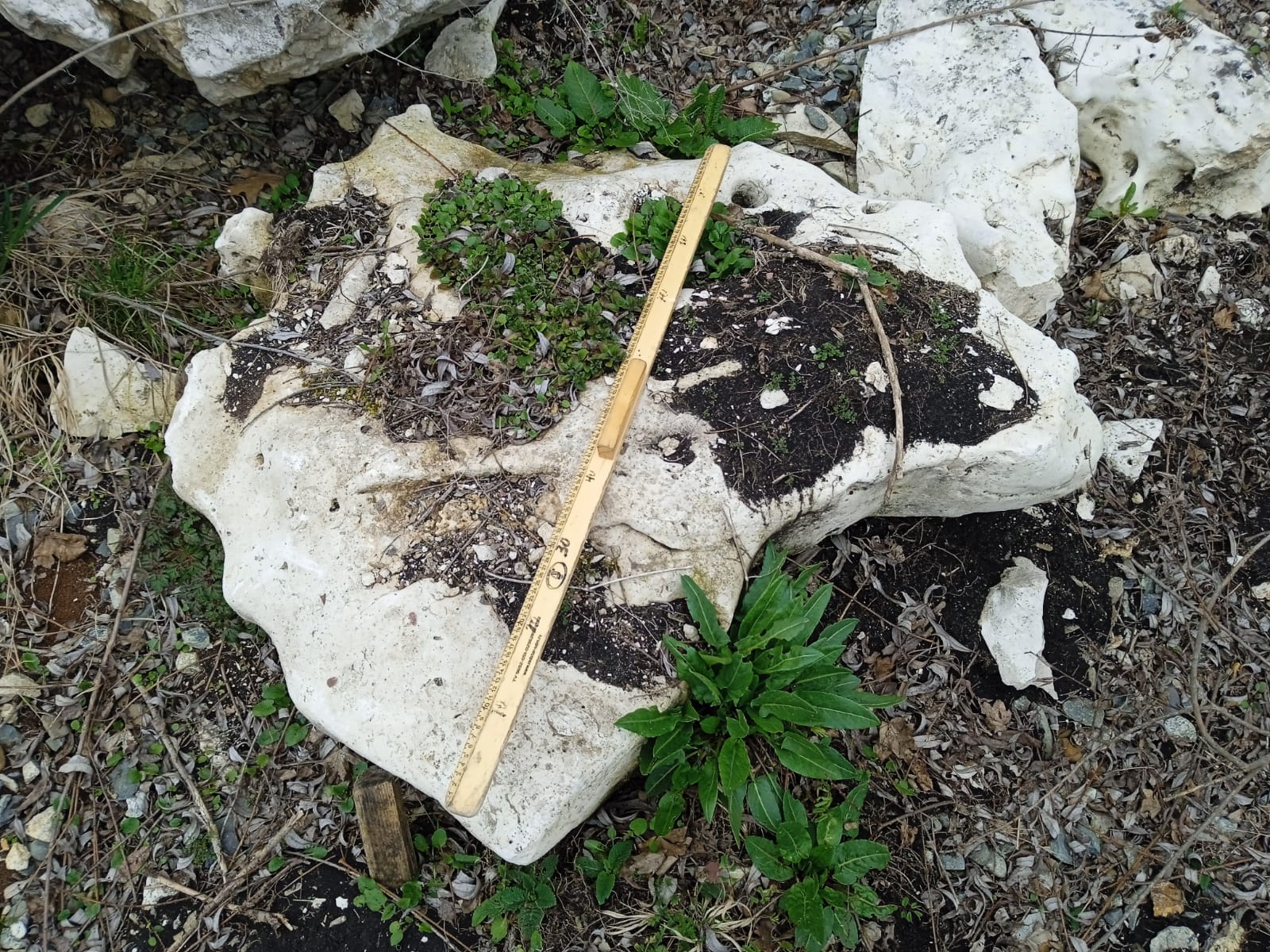  Выветренный известняк (степной) фр. 500-1500 мм.  купить в Воронеже    8 500 руб/т   фото 