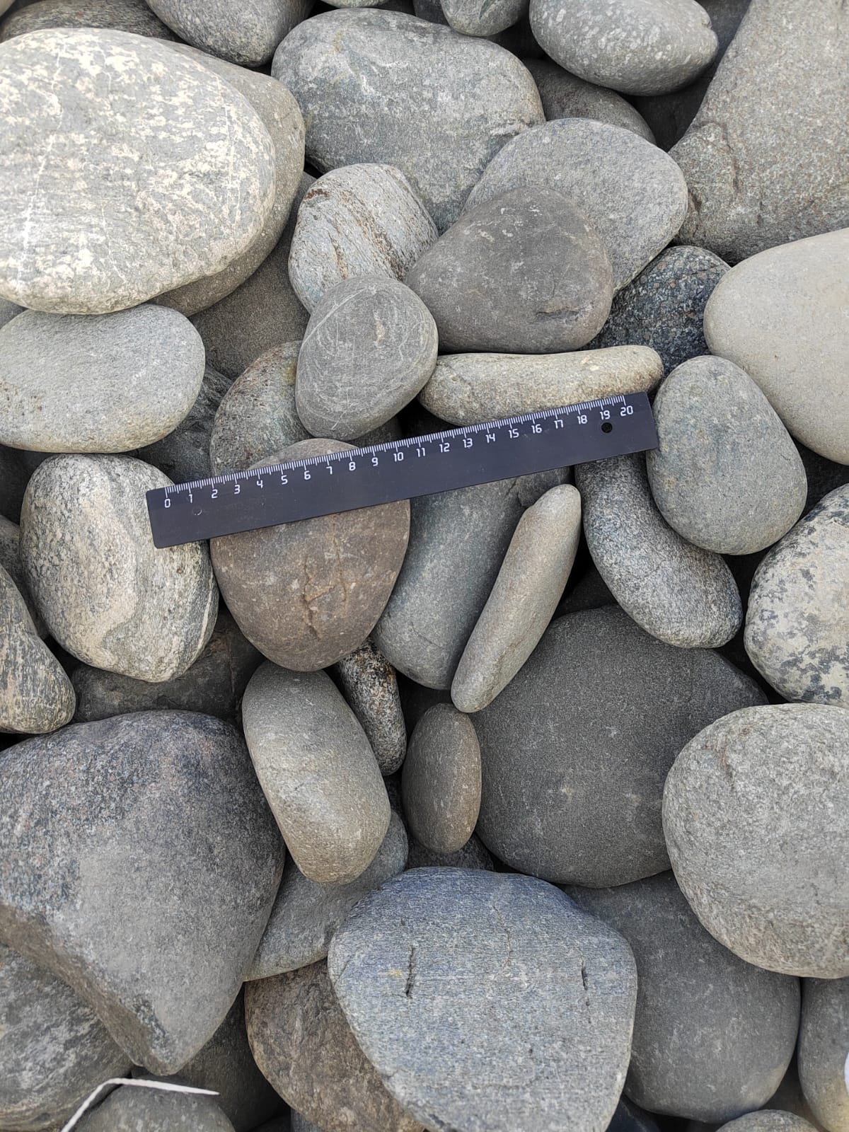 Kamenclub.ru: Галька речная плоская (ассорти) фр. 70-150 мм. купить   в  Воронежегалька галечник серый белый темно-серый синий светло-серый плоская природная галька  6200 руб/т   фото КАМЕНЬ КЛУБ