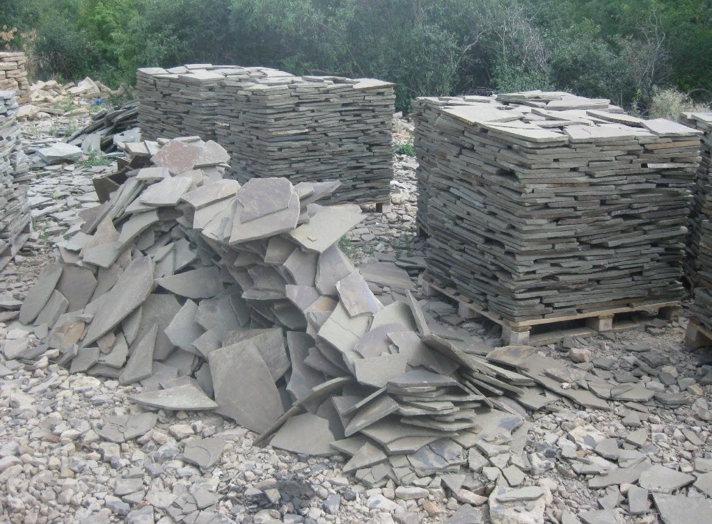 Пластушка серо-зеленая