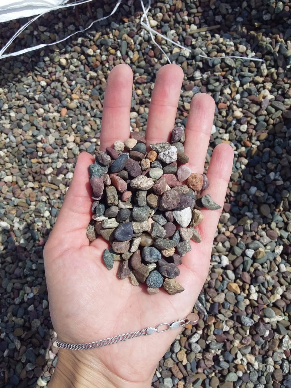  Галька речная окат цветная фр.5-10 мм. купить   в Воронеже галька речная белый, серый, красноватый, синий, темно-серый речная окатанная галька декоративная 5000 руб/т   фото 