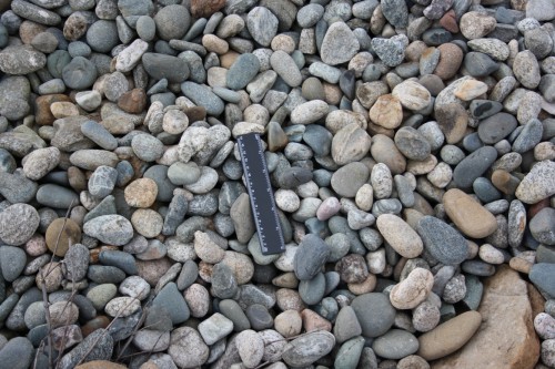  Галька речная окат (пестрая) фр. 20-40 мм. купить   в Воронеже галька речная пестрая, серая, серые оттенки галька речная окатанная округлая 4000 руб/т   фото 