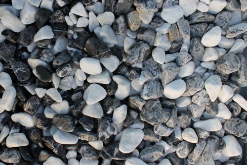  Микс шахматной гальки  (щебень галтованный микс:: белый-черный) фр.20-40 мм  купить  в Воронеже мрамор белый, черный мраморный галтованный щебень 14500 руб/т   фото 