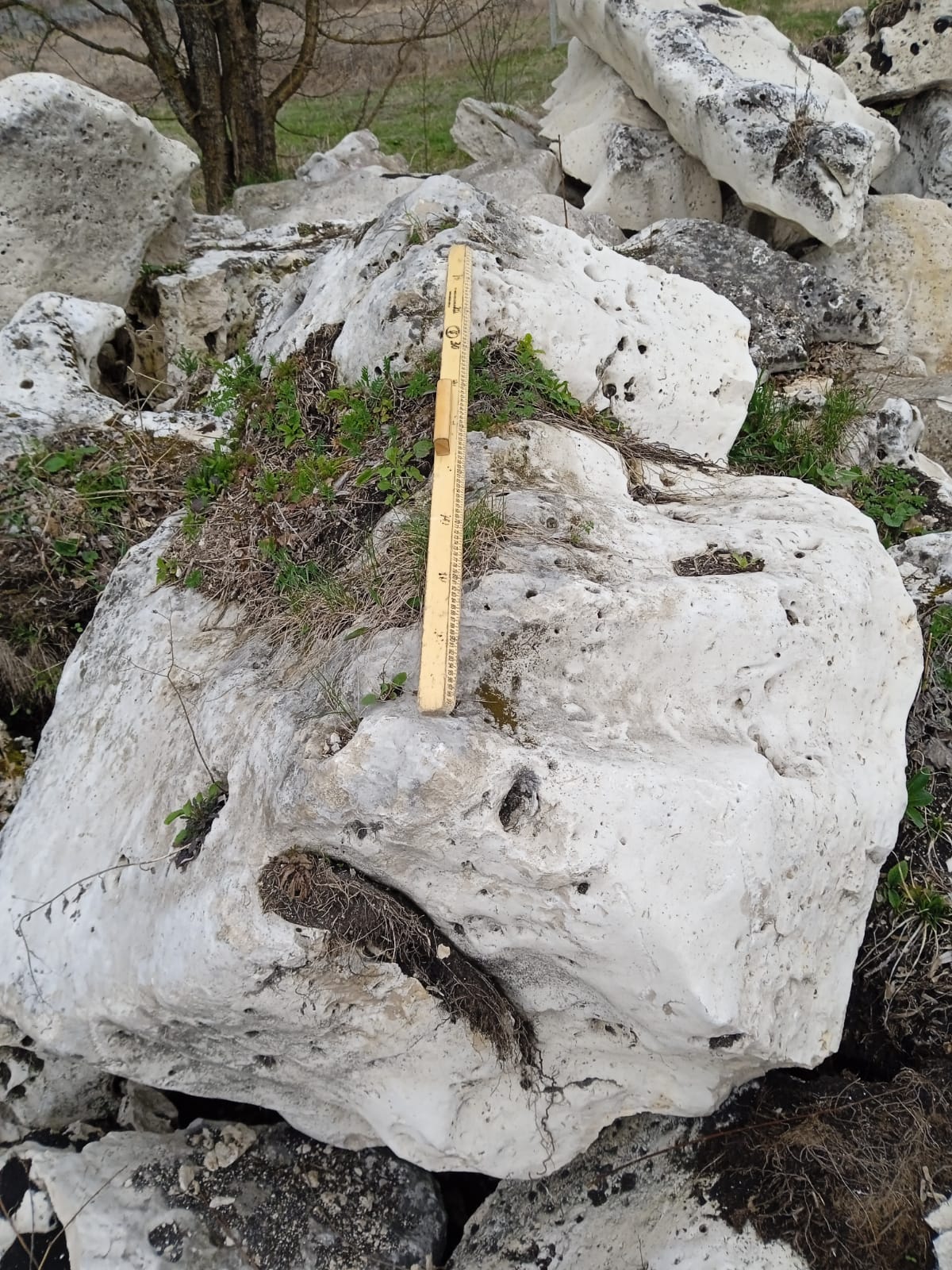  Выветренный известняк (степной) фр. 500-1500 мм.  купить в Воронеже    8 500 руб/т   фото 