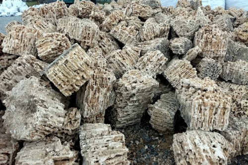  Крымский природный меотис фр. 100-500 мм.  купить в Воронеже меотис бежевый рыжий молочный желтый ракушечник 4 500 руб/т   фото 