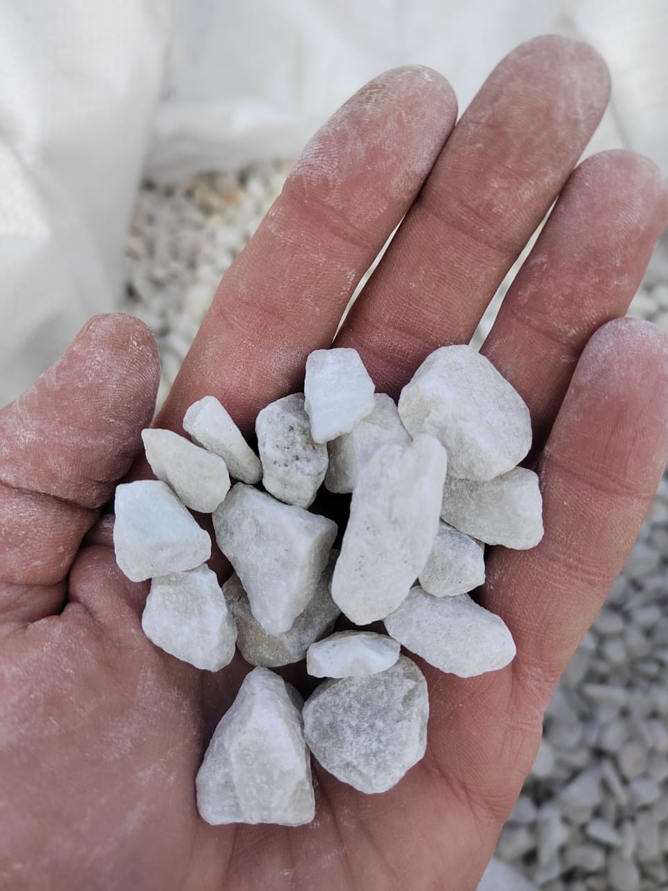  Мраморная крошка, щебень, цвет-белый, фр. 10-20 мм.  купить  в Воронеже мрамор белый, молочный айвори каменная ландшафтная декоративная крошка шебня 9500 руб/т   фото 