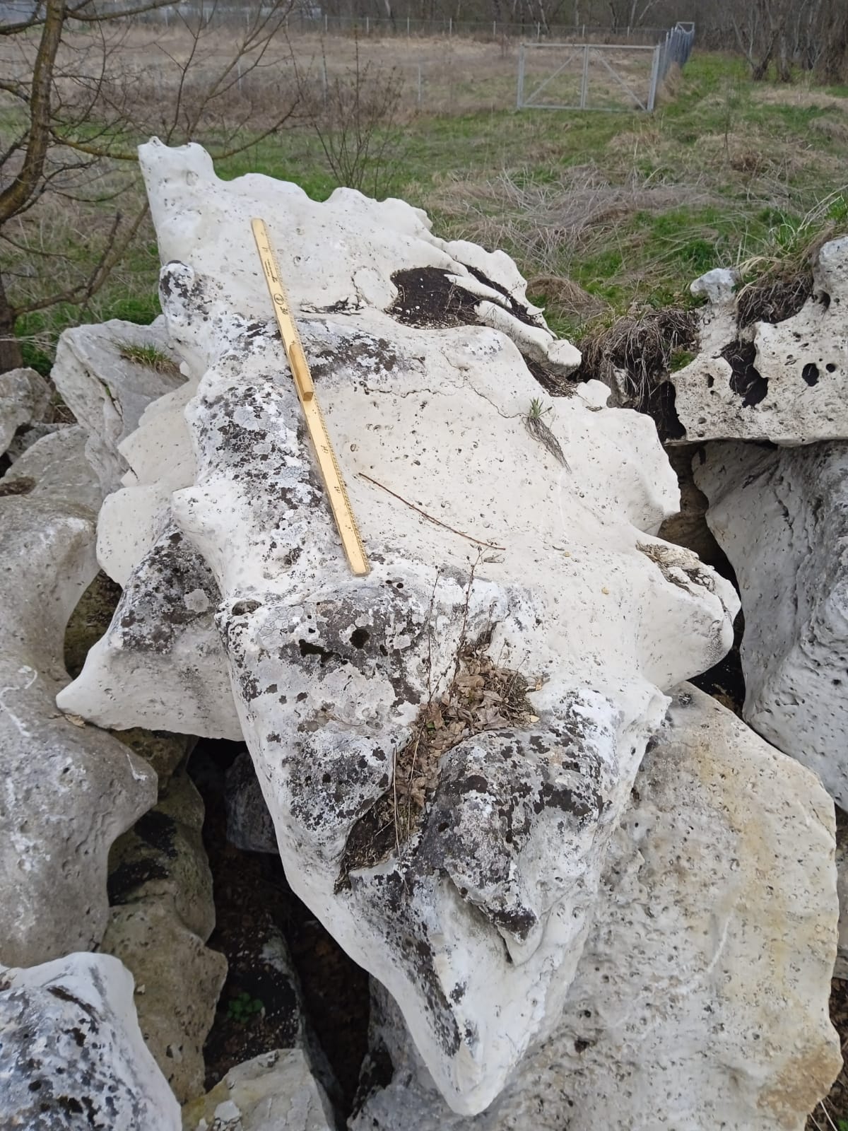  Выветренный известняк со мхом фр. 100-500 мм.  купить в Воронеже известняк серый белый зеленый валун известняковый крупный 7 500 руб/т   фото 