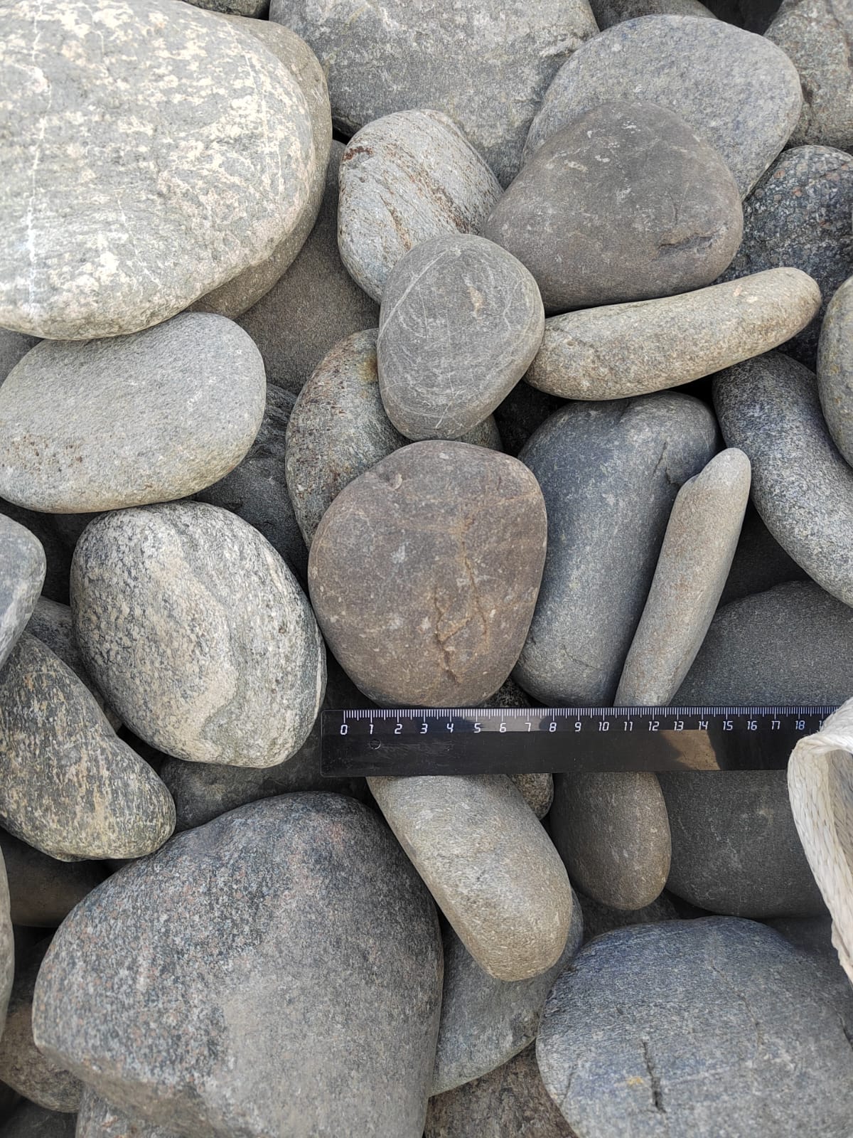 Kamenclub.ru: Галька речная плоская (ассорти) фр. 70-150 мм. купить   в  Воронежегалька галечник серый белый темно-серый синий светло-серый плоская природная галька  6200 руб/т   фото КАМЕНЬ КЛУБ