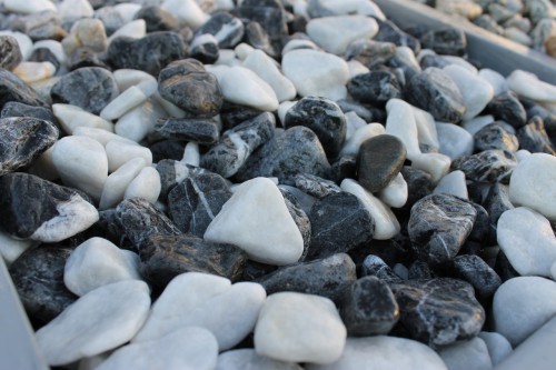  Микс шахматной гальки  (щебень галтованный микс:: белый-черный) фр.20-40 мм  купить  в Воронеже мрамор белый, черный мраморный галтованный щебень 14500 руб/т   фото 