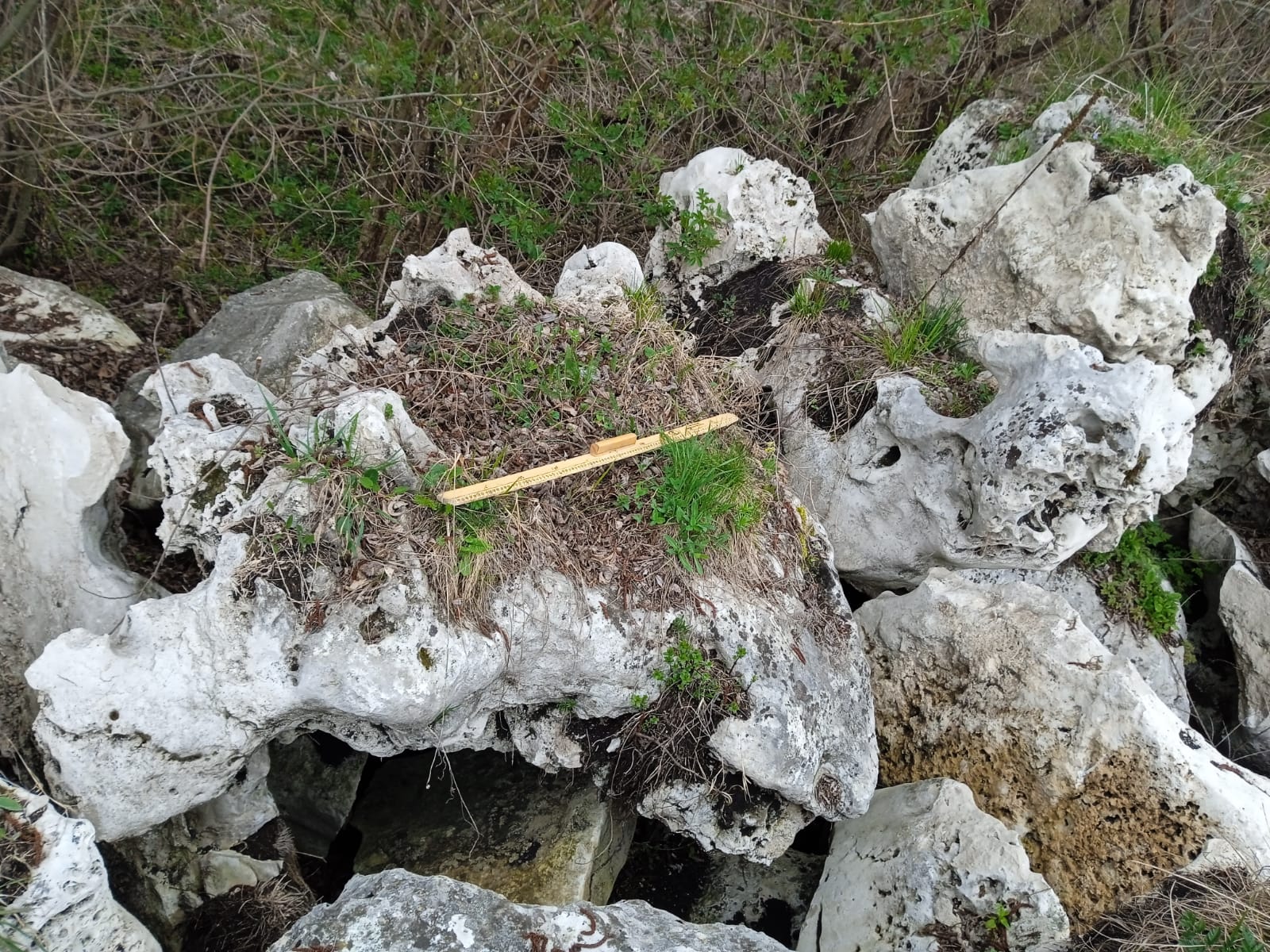  Выветренный известняк (степной) фр. 500-1500 мм.  купить в Воронеже    8 500 руб/т   фото 