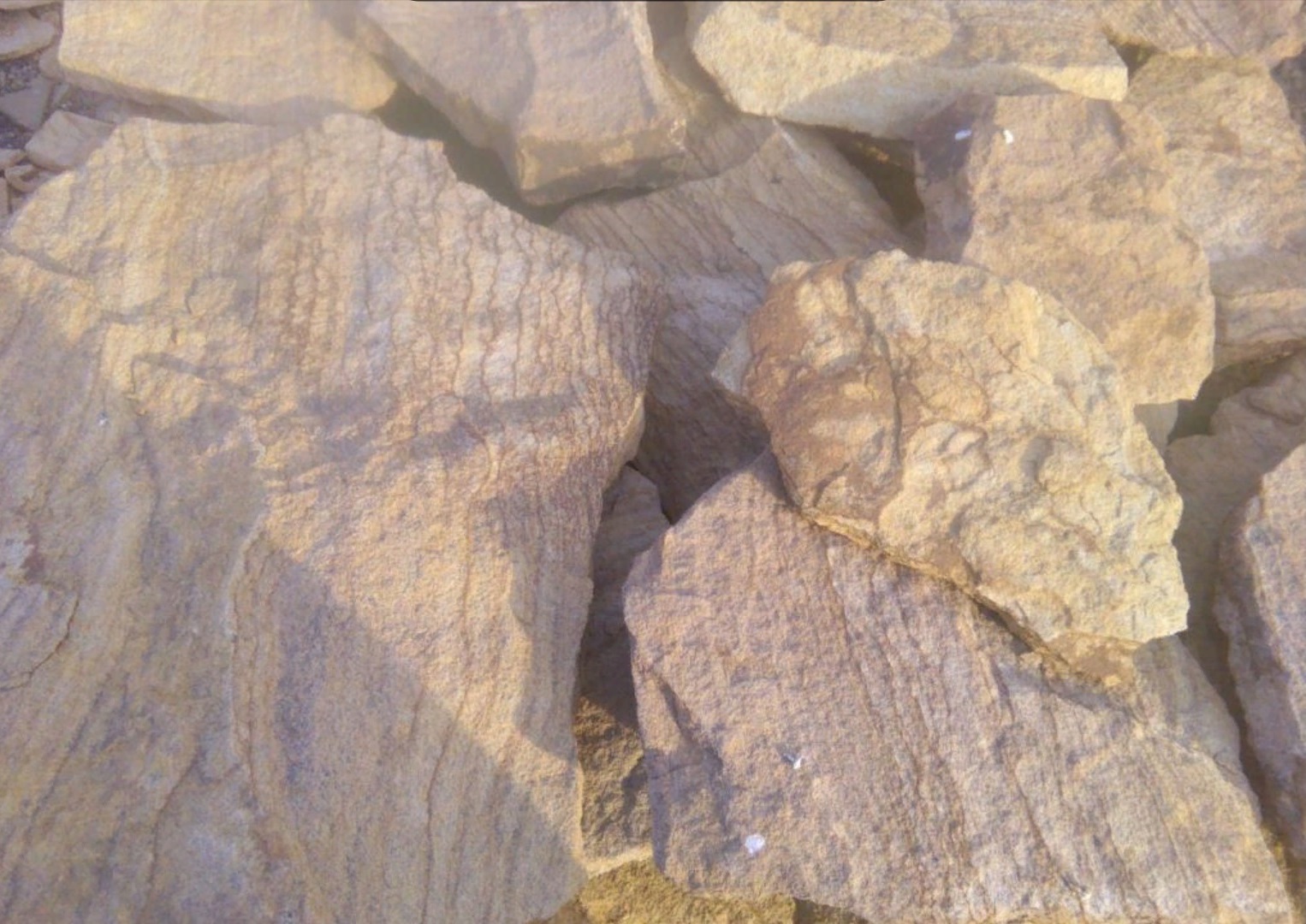 Песчаник пластушка "фонтанка" желтая (3,0 - 5,0 см)  купить  в Воронеже песчаник желтая, рыжий, желтый песчаник колотый рваный со сколом облицовочный 8 500 руб/м3   фото 