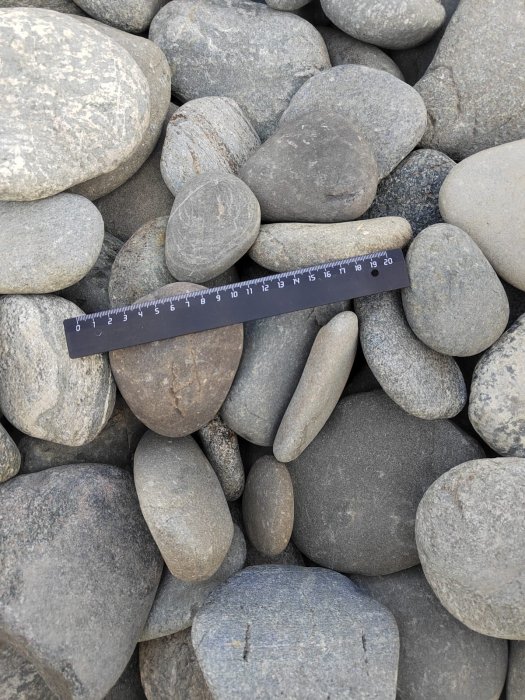  Галька речная плоская (серо-белая) фр. 70-120 мм. купить  в Воронеже  галька галечник речной серый, белый окатанная плоская  природная галька 7000 руб/т   фото 